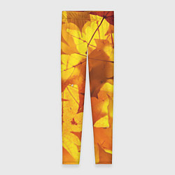 Леггинсы женские Осенние золотые листья, цвет: 3D-принт