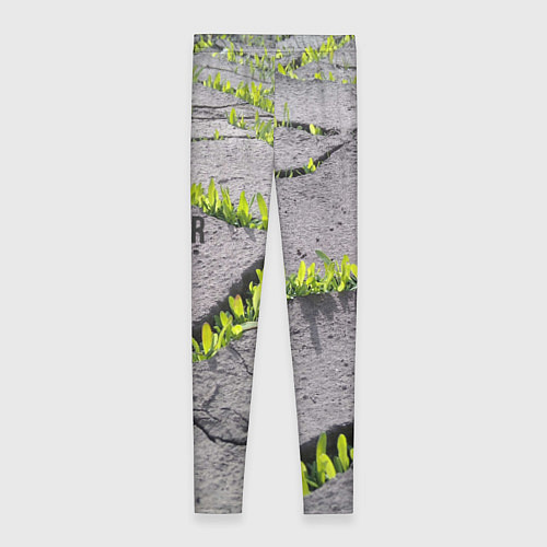 Женские легинсы Never give up - никогда не сдавайся прорасти сквоз / 3D-принт – фото 2