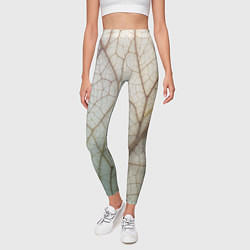 Леггинсы женские Прожилки листика, цвет: 3D-принт — фото 2