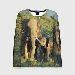Лонгслив женский Семья слонов в природе, цвет: 3D-принт