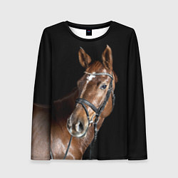 Женский лонгслив Гнедая лошадь в збруе