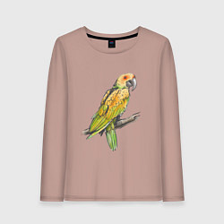 Лонгслив хлопковый женский Любимый попугай, цвет: пыльно-розовый