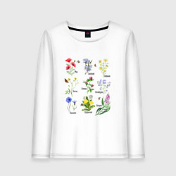 Лонгслив хлопковый женский Иллюстрации полевых цветов с названиями, цвет: белый