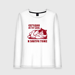 Лонгслив хлопковый женский Недовольный толстый котик сегодня не тот день, цвет: белый