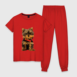 Пижама хлопковая женская Маленький Йорк, цвет: красный