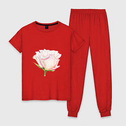Пижама хлопковая женская Акварельная роза, цвет: красный