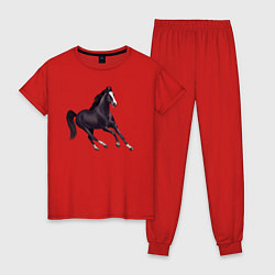 Пижама хлопковая женская Марварская лошадь, цвет: красный