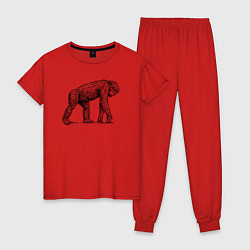 Пижама хлопковая женская Шимпанзе гуляет, цвет: красный