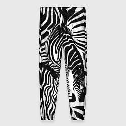 Женские брюки Полосатая зебра