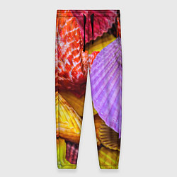 Женские брюки Разноцветные ракушки multicolored seashells