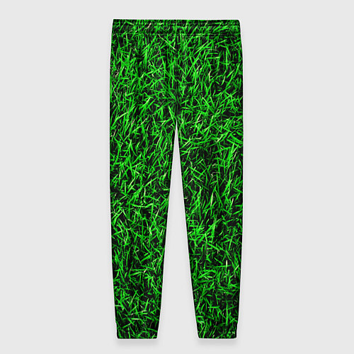 Женские брюки Трава / 3D-принт – фото 2