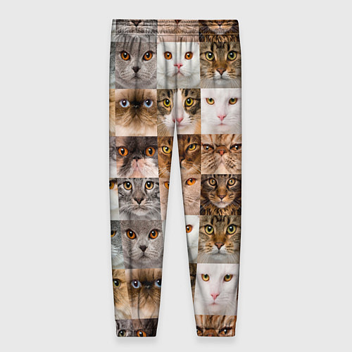 Женские брюки Pedigreed cats / 3D-принт – фото 2
