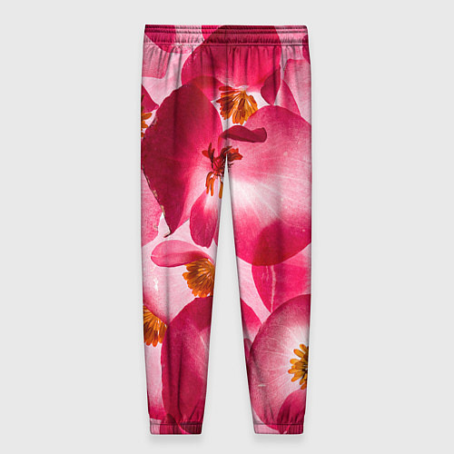 Женские брюки Цветы бегония текстура / 3D-принт – фото 2