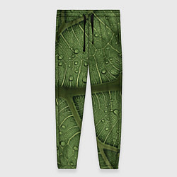 Брюки женские Текстура зелёной листы, цвет: 3D-принт