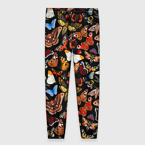 Женские брюки Разноцветные тропические бабочки / 3D-принт – фото 2