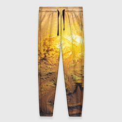 Женские брюки Зимний закат