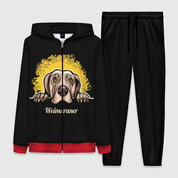 Женский 3D-костюм Веймаранер Weimaraner, цвет: 3D-красный