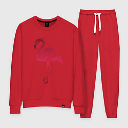 Женский костюм Flamingo