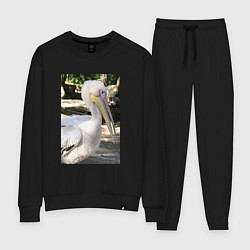 Женский костюм Пеликан в природе