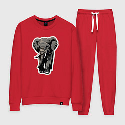 Костюм хлопковый женский Большой африканский слон, цвет: красный