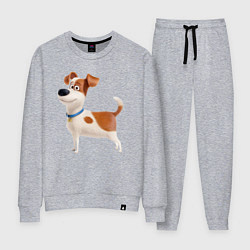 Костюм хлопковый женский Пес Макс, цвет: меланж