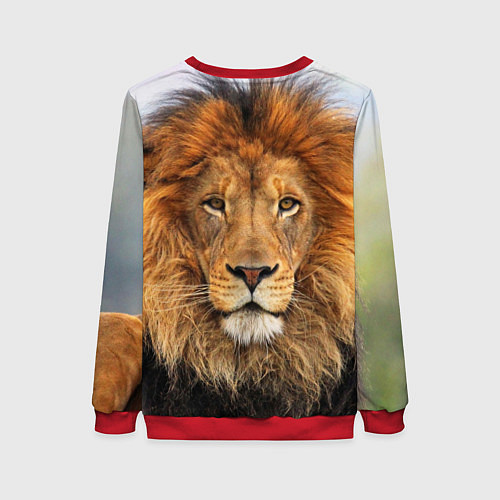 Женский свитшот Красавец лев / 3D-Красный – фото 2