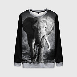Свитшот женский Бегущий слон, цвет: 3D-меланж