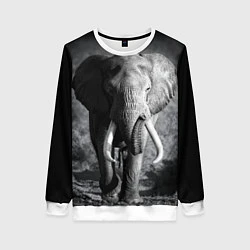 Свитшот женский Бегущий слон, цвет: 3D-белый