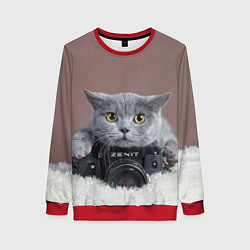 Свитшот женский Котик фотограф, цвет: 3D-красный