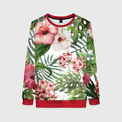 Свитшот женский Таинственный остров, цвет: 3D-красный