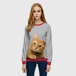 Свитшот женский Рыжий котик, цвет: 3D-красный — фото 2