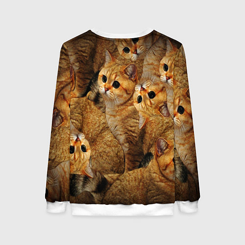 Женский свитшот КОТЯТУШКИ / 3D-Белый – фото 2