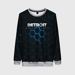 Женский свитшот DETROIT S