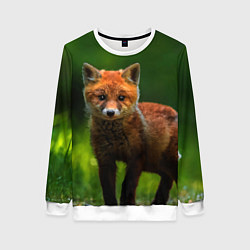 Женский свитшот Маленький лисенок