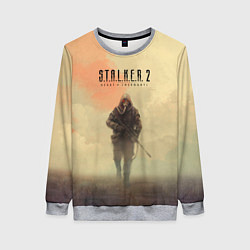 Свитшот женский Сталкер одиночка, цвет: 3D-меланж