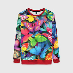 Женский свитшот Стая бабочек Pattern