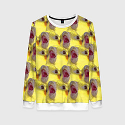 Женский свитшот Попугай Корелла Орёт Мем