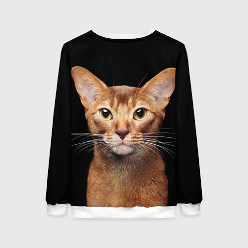 Женский свитшот Молодая абиссинская кошечка / 3D-Белый – фото 2
