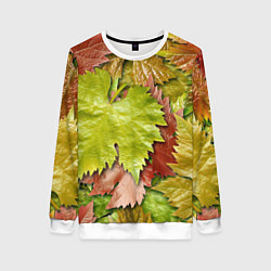 Женский свитшот Осенние листья клёна - паттерн