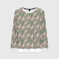 Женский свитшот Три забавных ламы среди кактусов