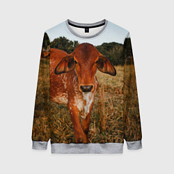 Свитшот женский Коровка на поле, цвет: 3D-меланж