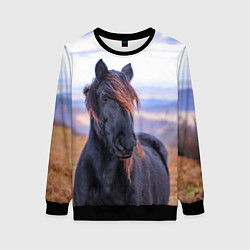 Женский свитшот Черный конь