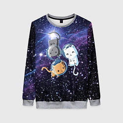 Женский свитшот Три котика в открытом космосе