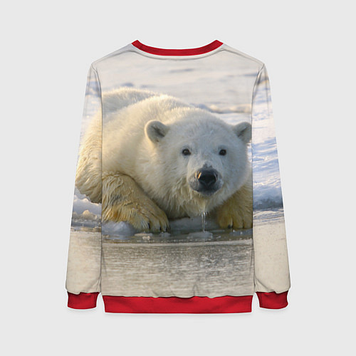 Женский свитшот Белый медведь ожидает / 3D-Красный – фото 2