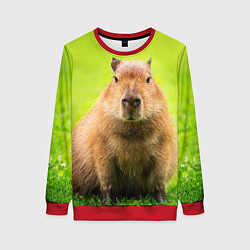 Свитшот женский Capybara on green grass, цвет: 3D-красный