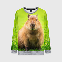 Женский свитшот Capybara on green grass