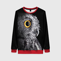 Женский свитшот Сова - всевидящее око - big picture