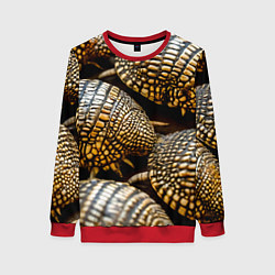 Женский свитшот Панцири броненосцев