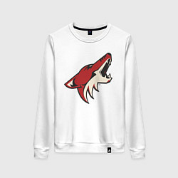 Свитшот хлопковый женский Phoenix Coyotes, цвет: белый