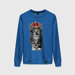 Женский свитшот Meow kitten